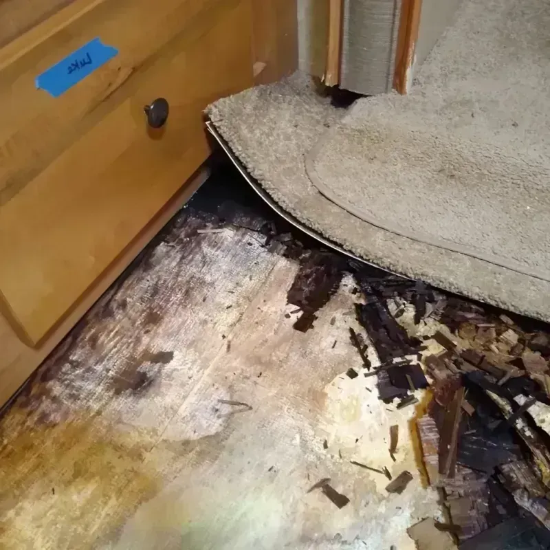 Wood Floor Water Damage in McHenry County, IL